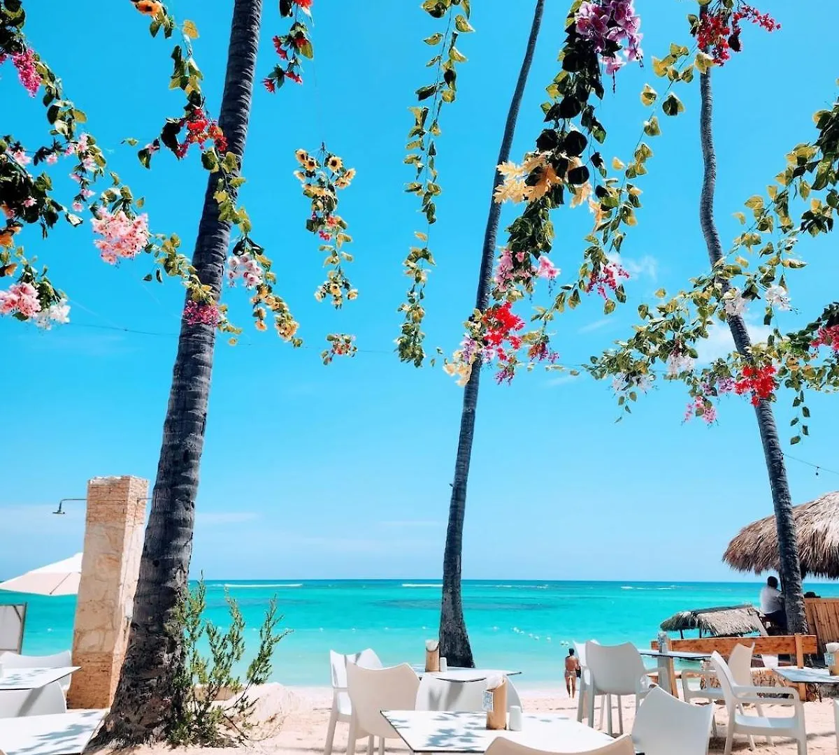 Backyard, Pool View, Walk To Beach, Dining, Shops 푼타 카나 아파트