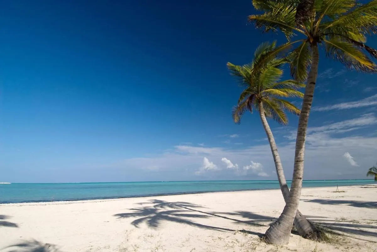 Appartement Backyard, Pool View, Walk To Beach, Dining, Shops Punta Cana